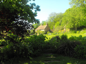Swan Studio