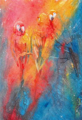 Tropical Macaws